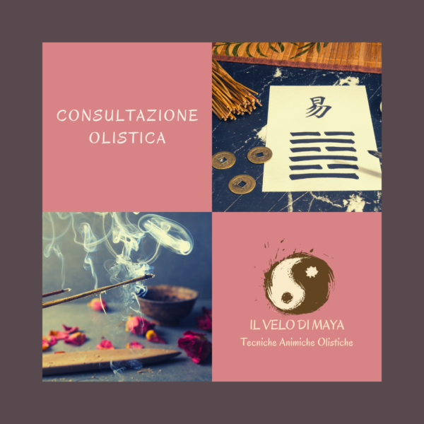 Consultazione Olistica