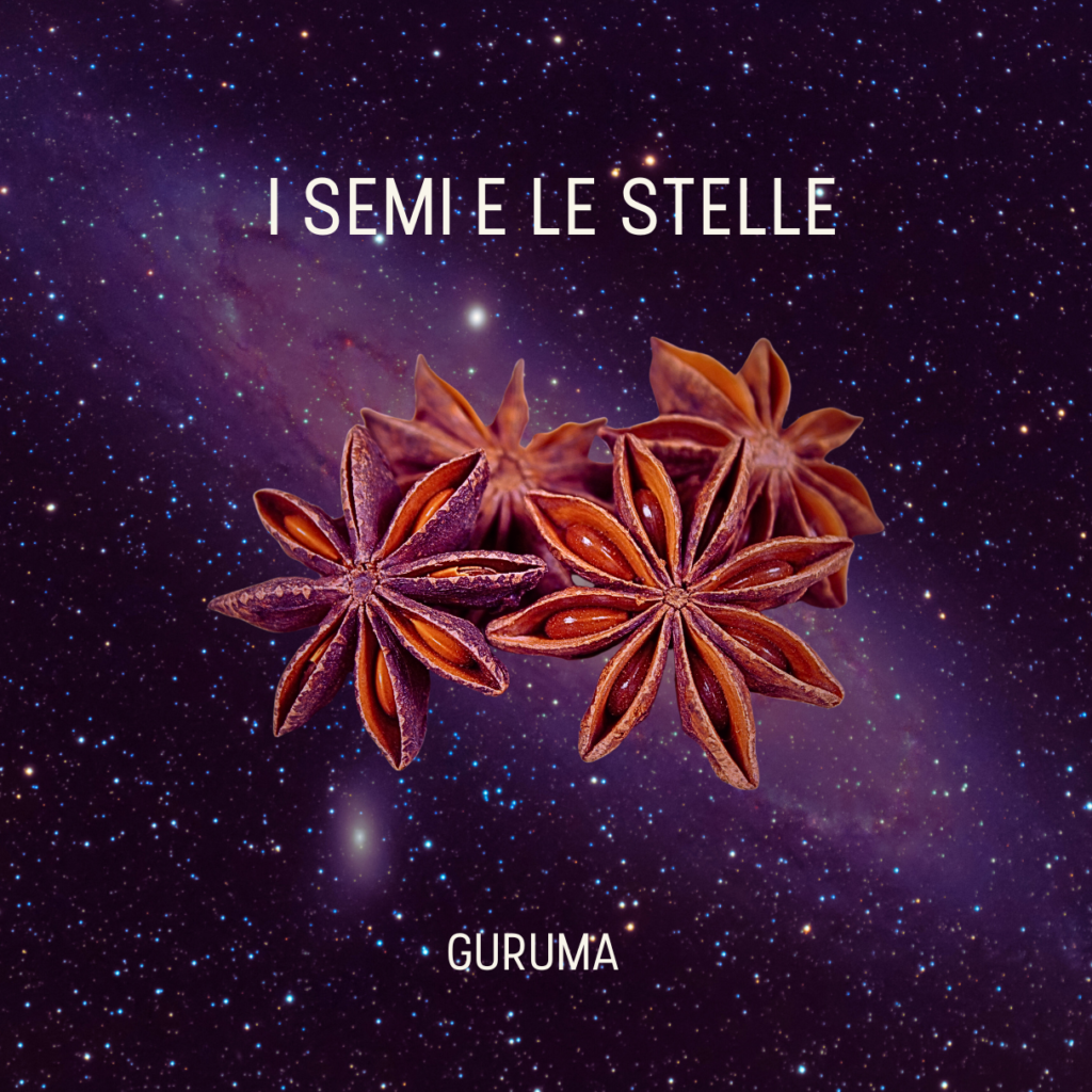 NL I Semi e le Stelle